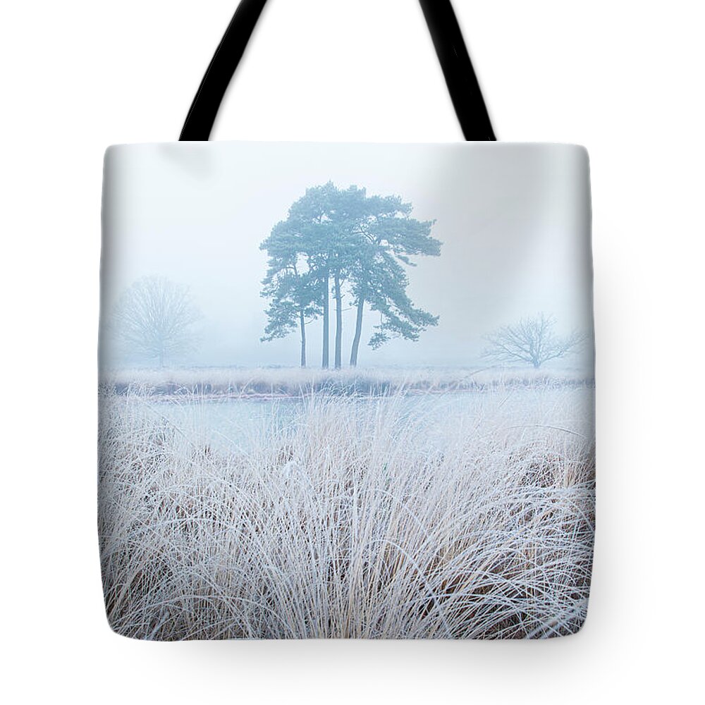  Tote Bag featuring the photograph Hoarfrost pine tree in the fog by Patrick Van Os