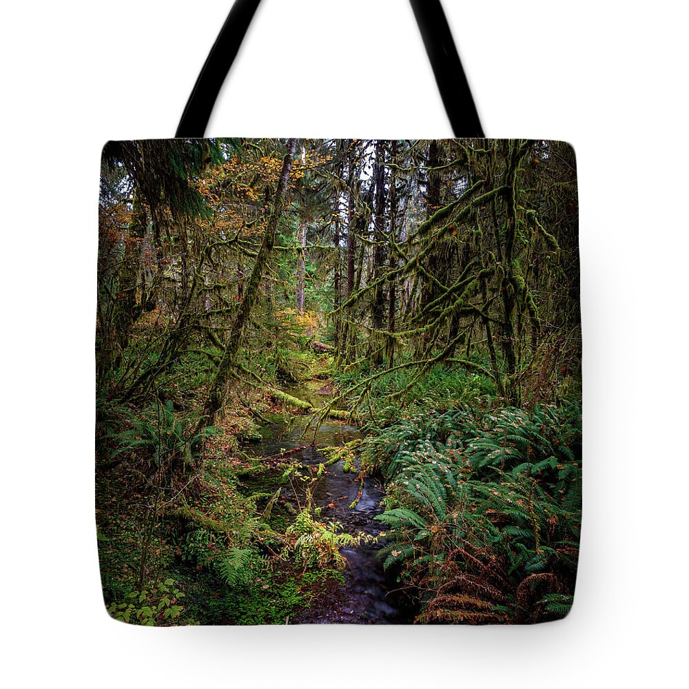 Taft Creek Tote Bag featuring the photograph Hoh 315 by Mike Penney