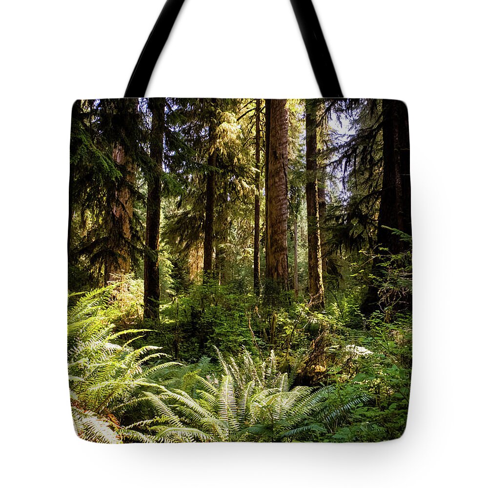Washington Tote Bag featuring the photograph Hoh forest #1 by Alberto Zanoni