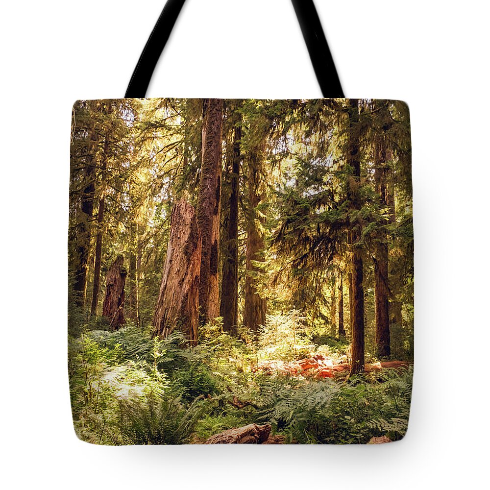 Washington Tote Bag featuring the photograph Hoh Forest #2 by Alberto Zanoni