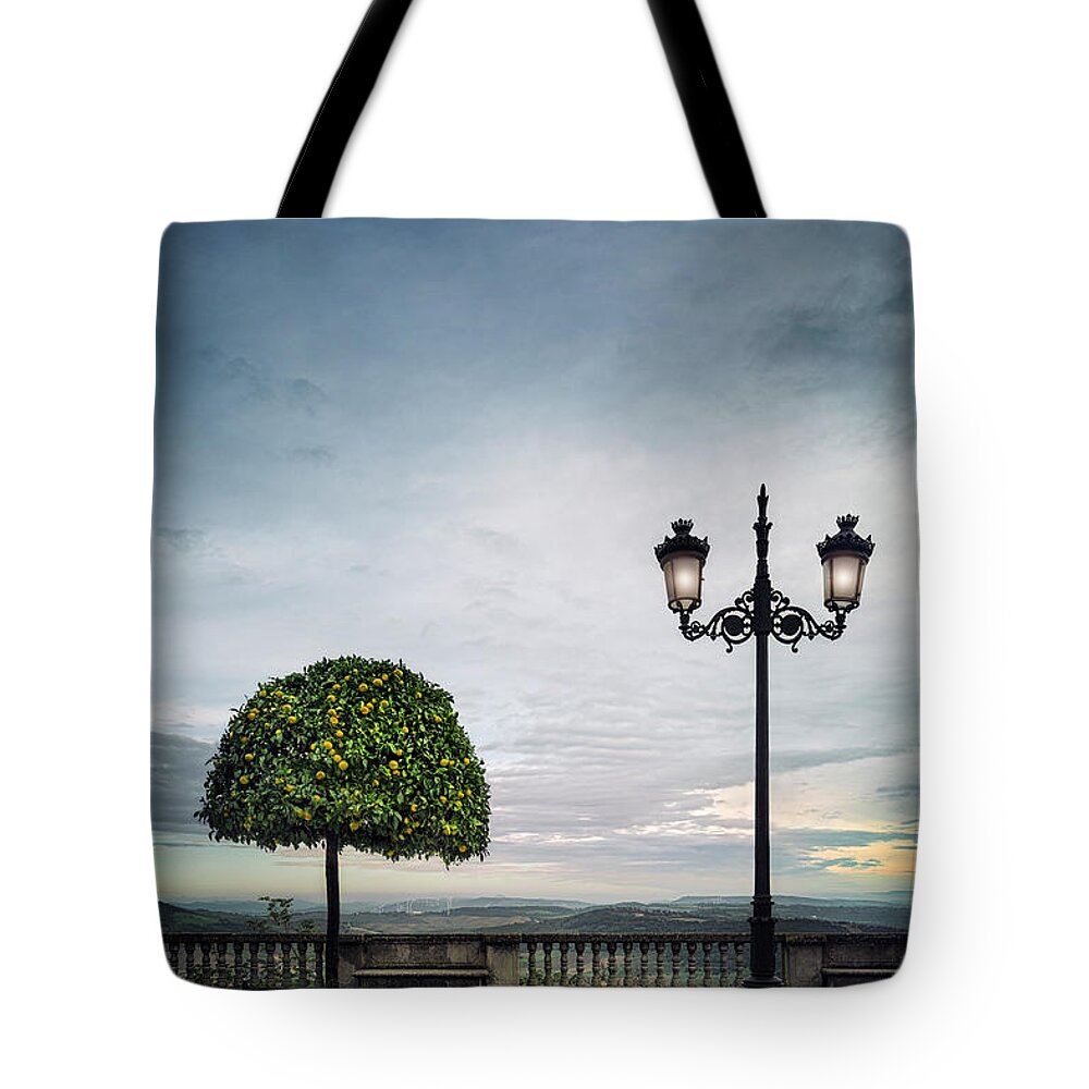 Kremsdorf Tote Bag featuring the photograph Hold On To Your Dreams by Evelina Kremsdorf