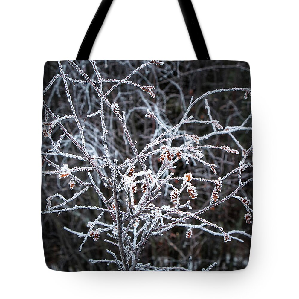 Ice Tote Bag featuring the photograph Hold the Ice by Thomas Nay
