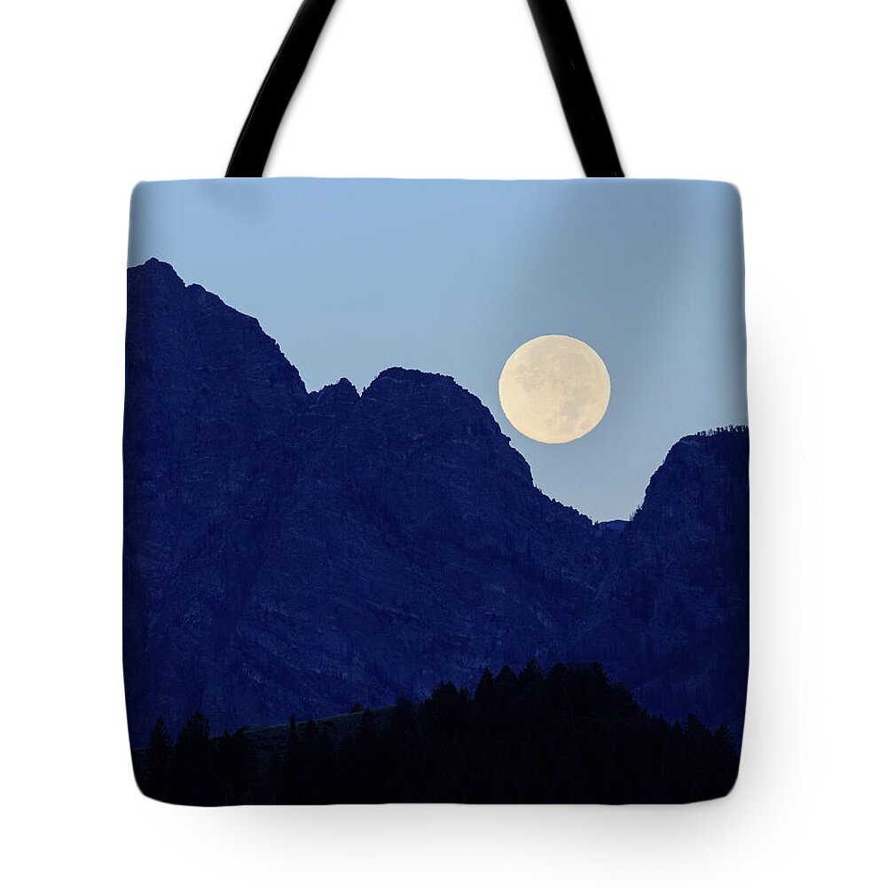 Grand Tetons Tote Bag featuring the photograph Hole in One by Maresa Pryor-Luzier