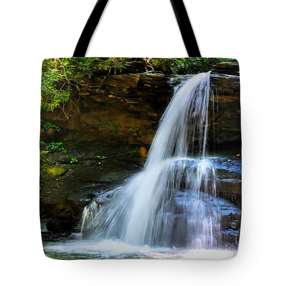 Fine Art Tote Bag featuring the photograph Holly River Upper Falls by Rosanna Life