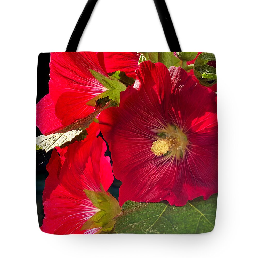 Hollyhock Tote Bag featuring the photograph Hollyhocks by Jeanette French