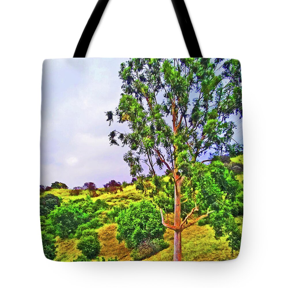 Trees Tote Bag featuring the photograph Hollywood Hills Southeast by Andrew Lawrence