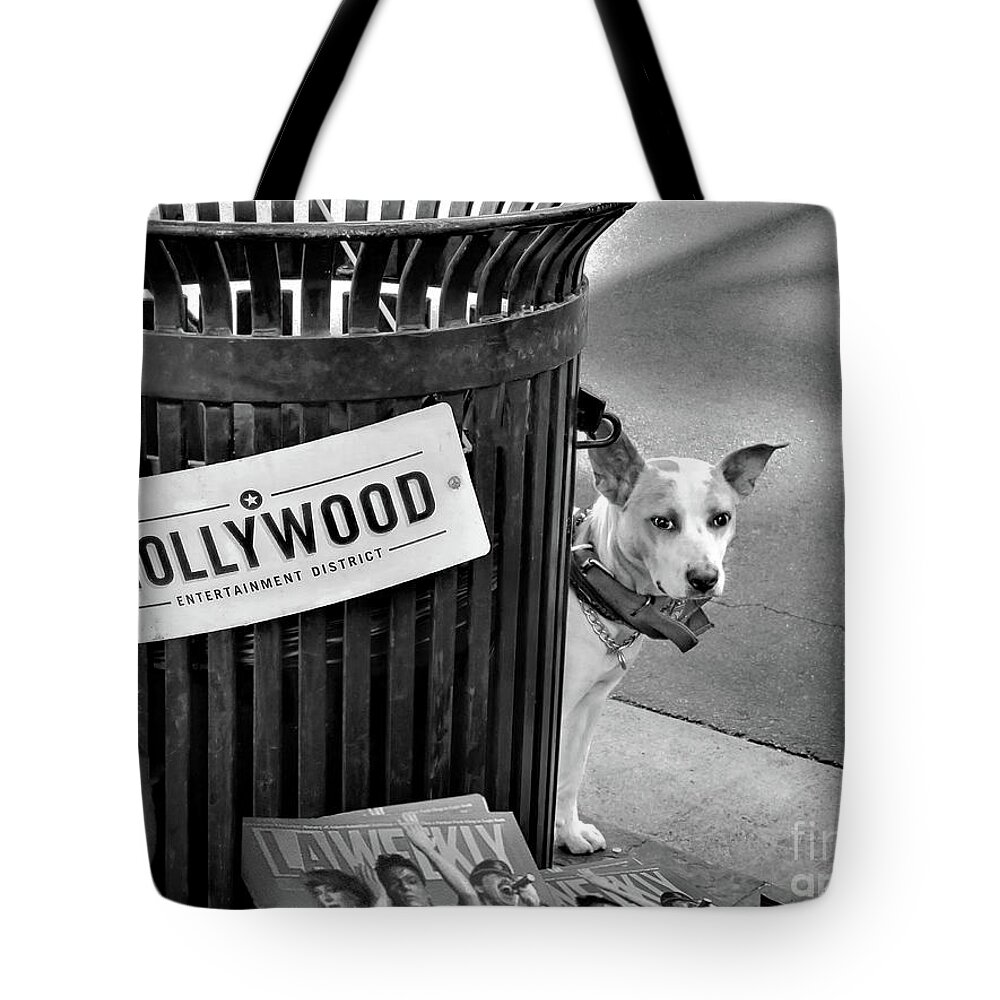 Hollywood Boulevard. Los Angeles Tote Bag featuring the photograph Hollywood Talent Scout by Jennie Breeze