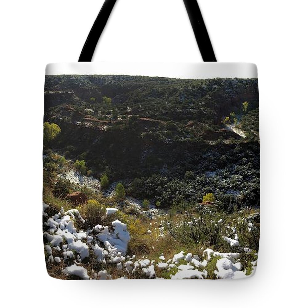 Richard E. Porter Tote Bag featuring the photograph Holmes Canyon, Juxtaposition, Caprock Canyons State Park, Texas by Richard Porter