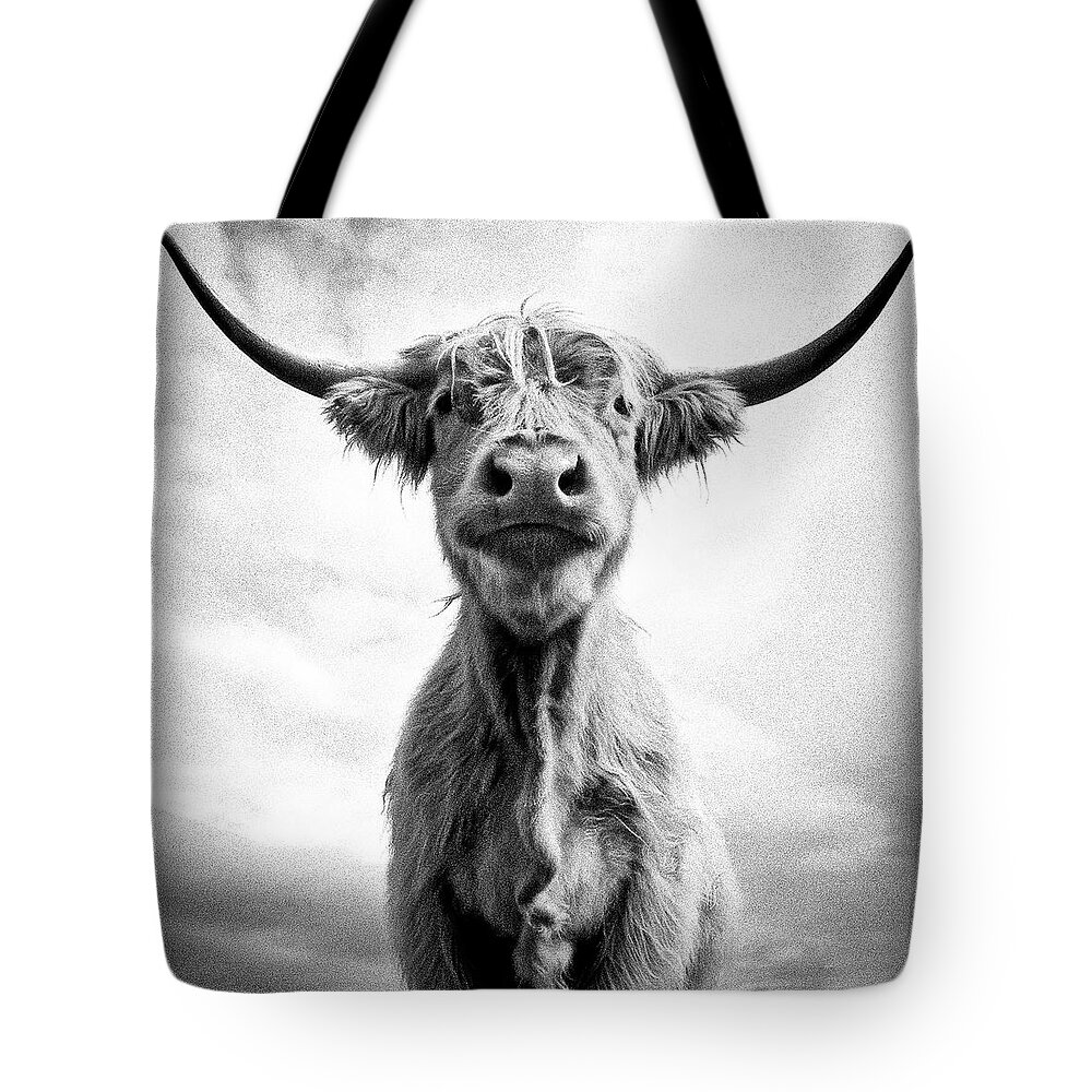 Cow Tote Bag featuring the photograph Holy Cow by Louise Tanguay