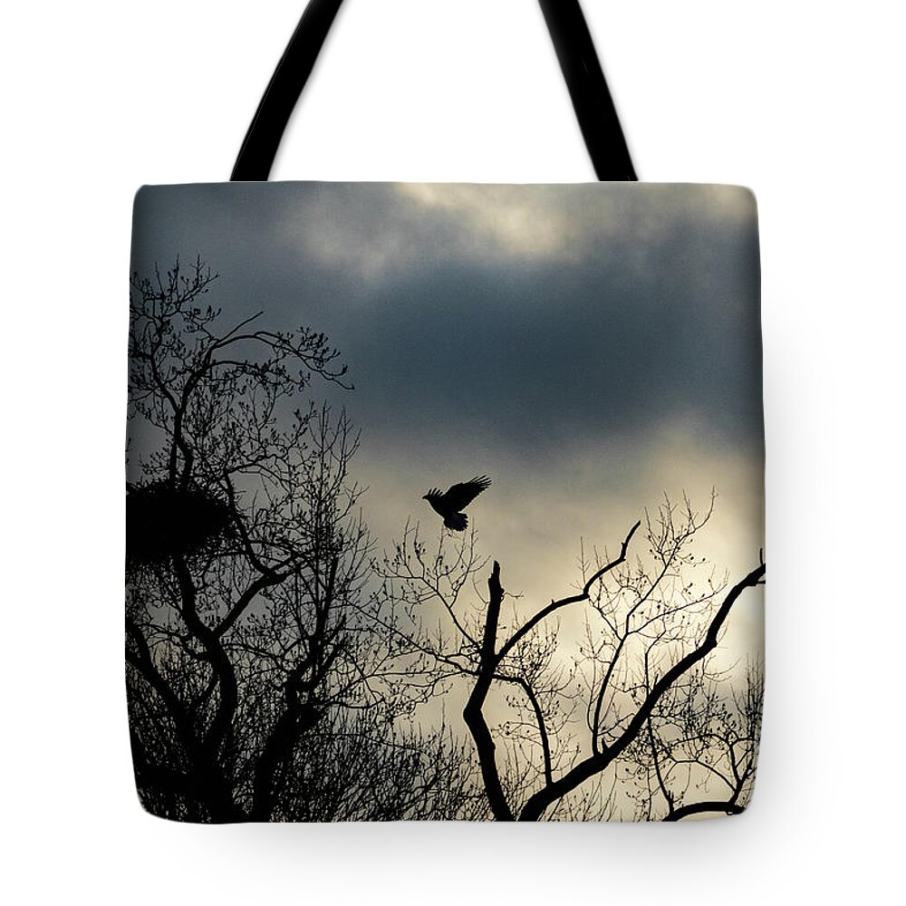 Eagle Tote Bag featuring the photograph Home Before Dark by Alyssa Tumale