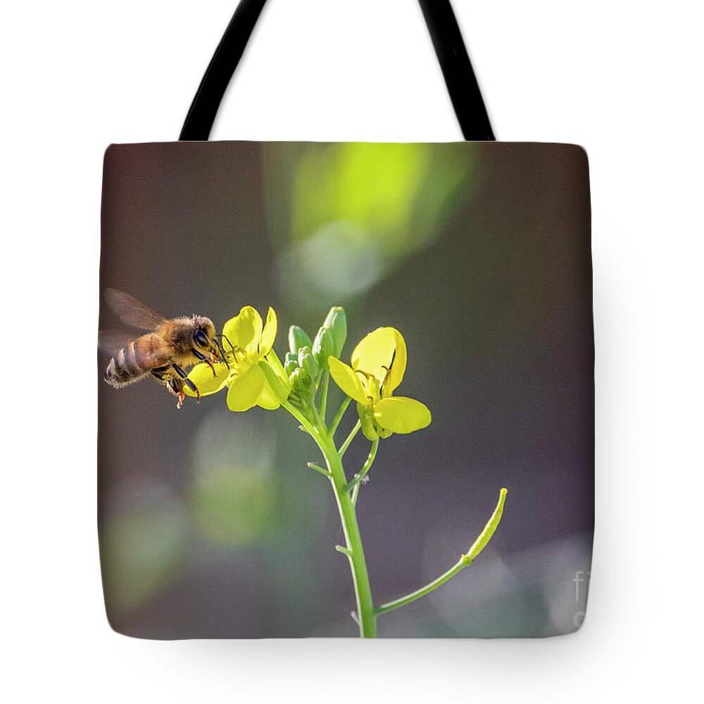 Honey Bee Tote Bag featuring the photograph Honey Bee on a Winter Kale Flower by Sandra Rust