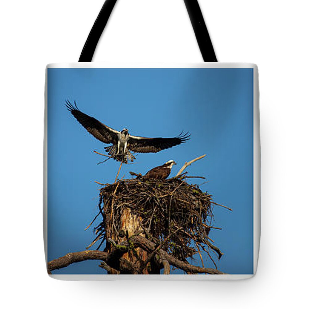 Nature Tote Bag featuring the photograph Honey Do List Triptych by Mike Lee