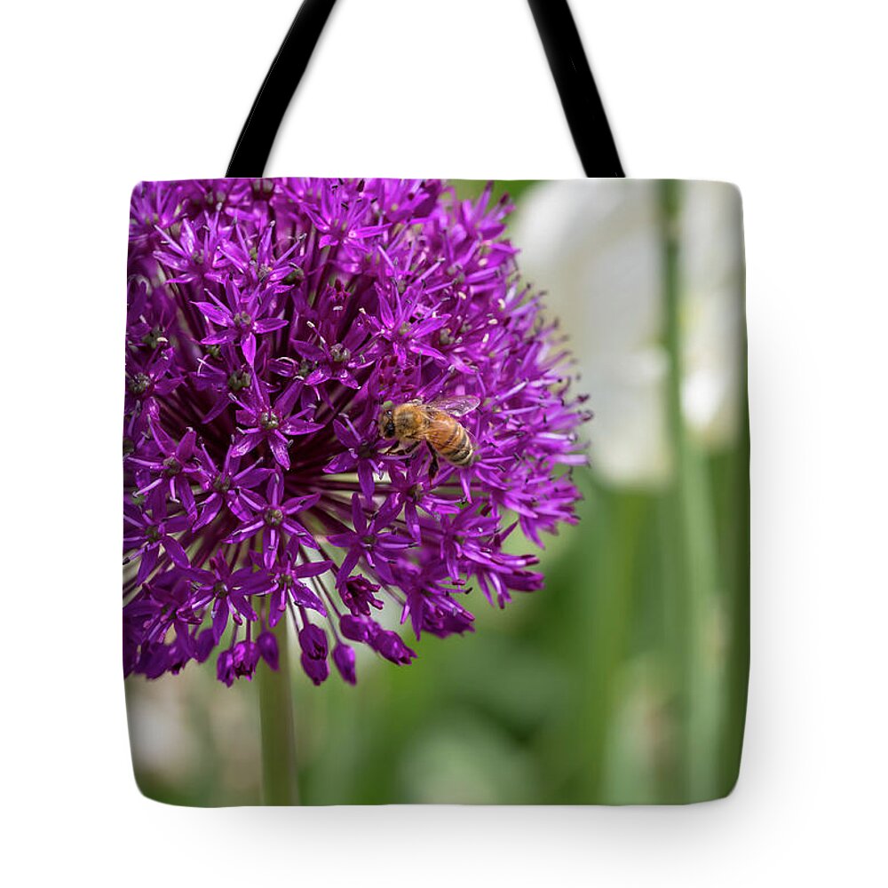 Flower Tote Bag featuring the photograph Honeybee on Ornamental Onion by Dawn Cavalieri