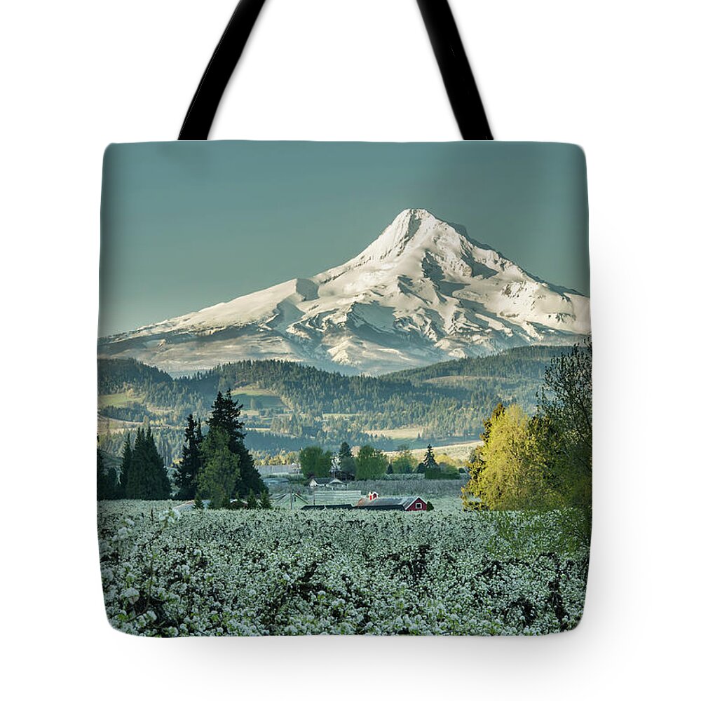 Hood River Tote Bag featuring the photograph Hood River Valley in Spring by Don Schwartz