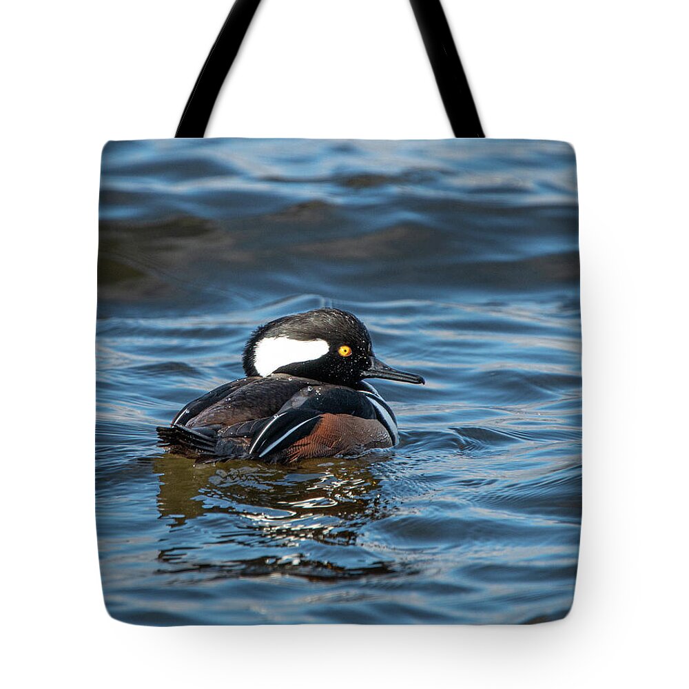 Duck Tote Bag featuring the photograph Hooded Merganser Drake by Kristia Adams
