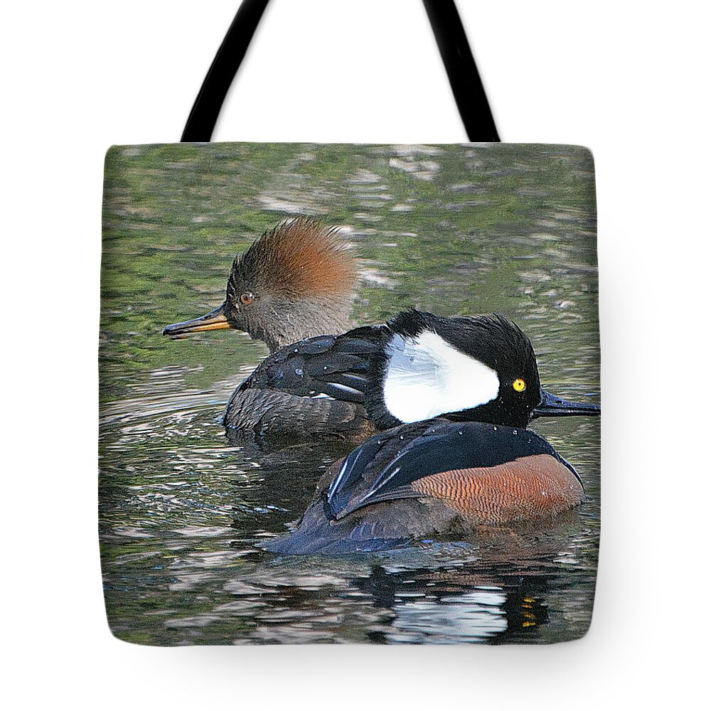 Hooded Merganser Tote Bag featuring the photograph Hooded Merganser Pair by Jerry Griffin