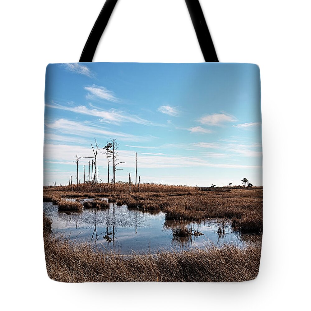 Maryland Tote Bag featuring the photograph Hoopers Island 3 by Robert Fawcett