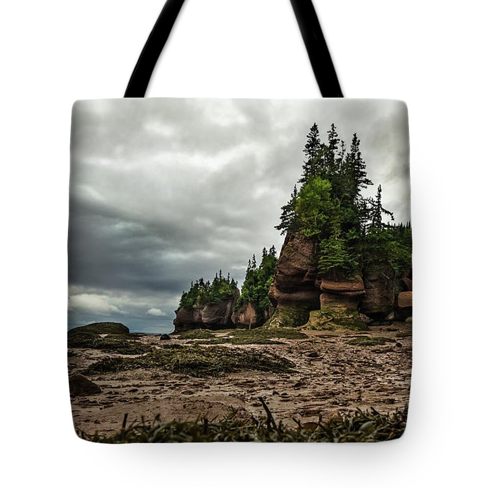 Hopewell Rocks Tote Bag featuring the photograph Hopewell Rocks Low Tide by Linda Villers