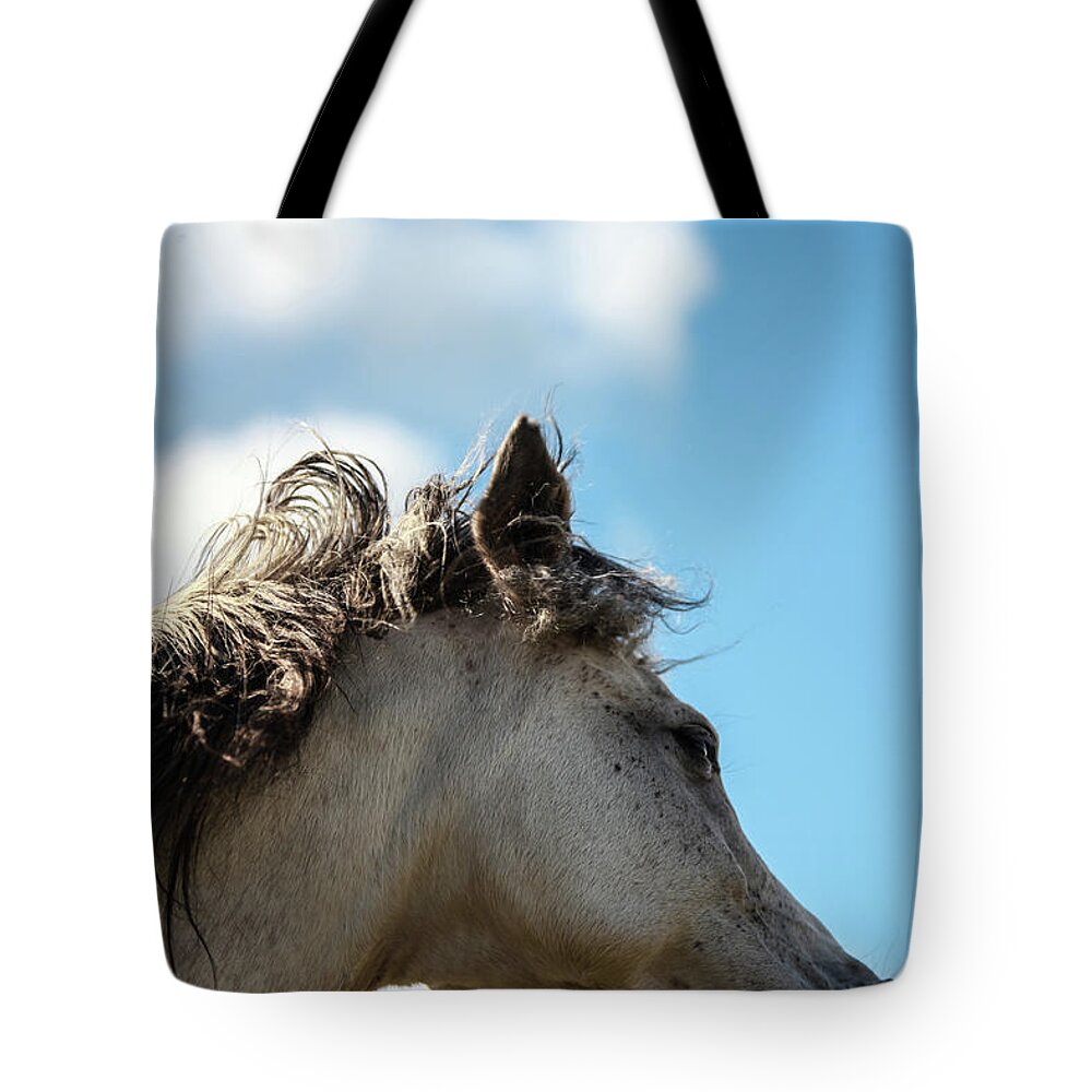 Horse Tote Bag featuring the photograph Horse and Sky by Listen To Your Horse