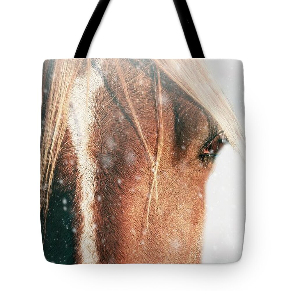 Texture Tote Bag featuring the photograph Horse Gaze by Marjorie Whitley