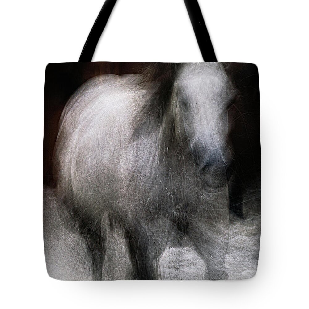 Landscape Tote Bag featuring the photograph Horse by Grant Galbraith