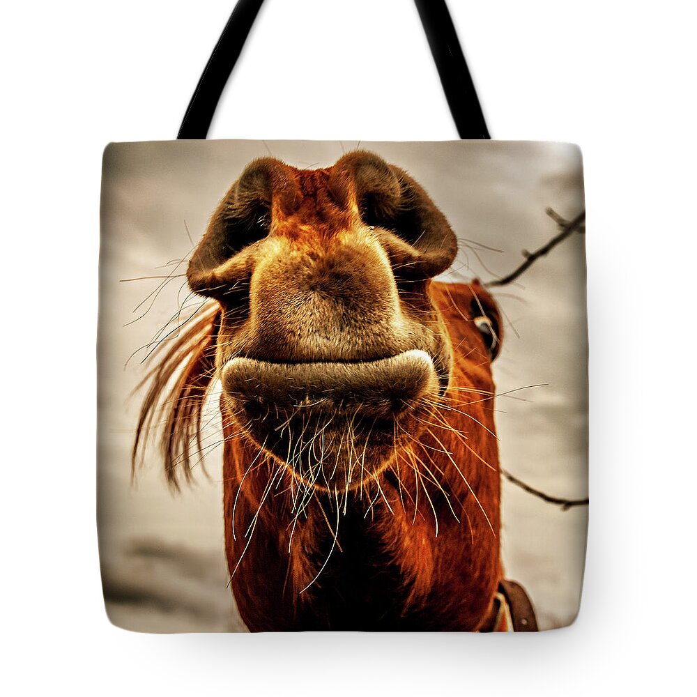 Horses New Jersey Medford Tote Bag featuring the photograph Horse Head Mr. Ed by Louis Dallara