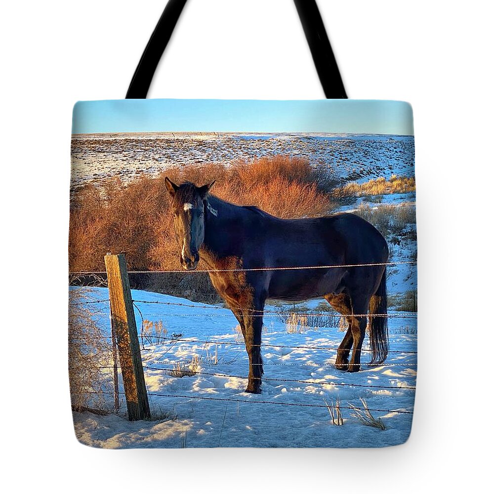 Horse Tote Bag featuring the photograph Horse in Snow by Jerry Abbott