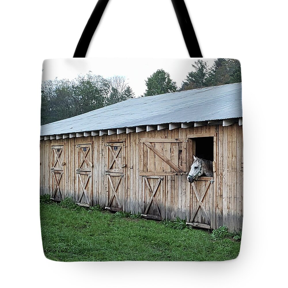 Horse Tote Bag featuring the photograph Horse in the Barn by Denise Romano