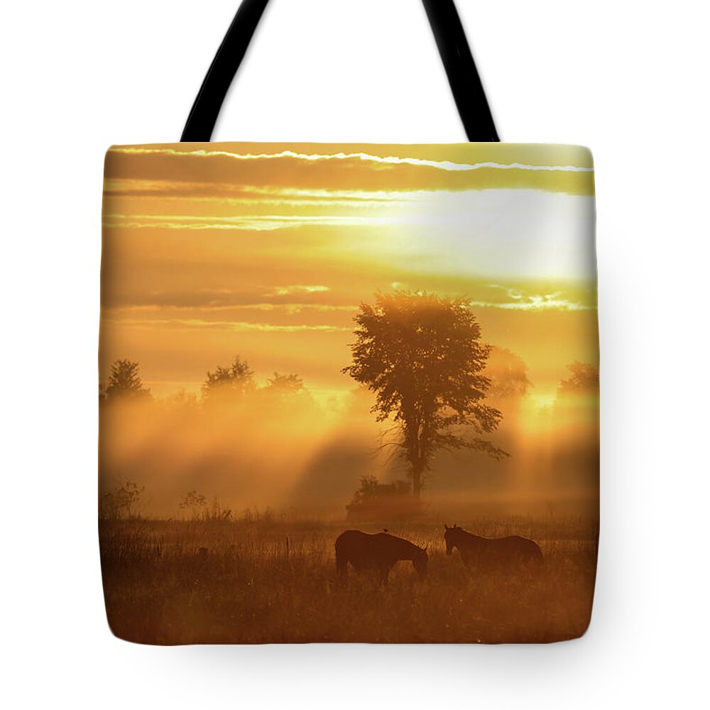 Sunrise Tote Bag featuring the photograph Horse Sunrise by Brook Burling