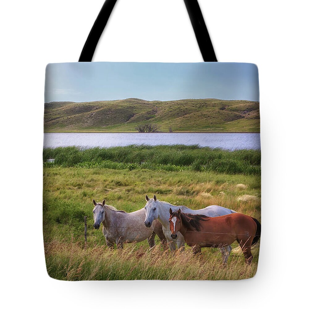 Horses Tote Bag featuring the photograph Horses at Beem Lake - Sandhills Journey by Susan Rissi Tregoning