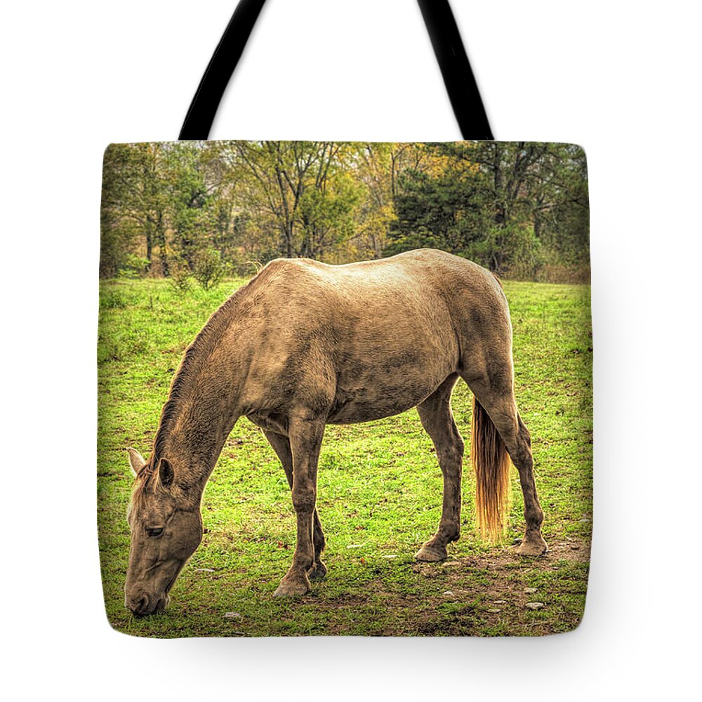 Cades Tote Bag featuring the photograph Horses Grazing in Cades Cove by Debra and Dave Vanderlaan