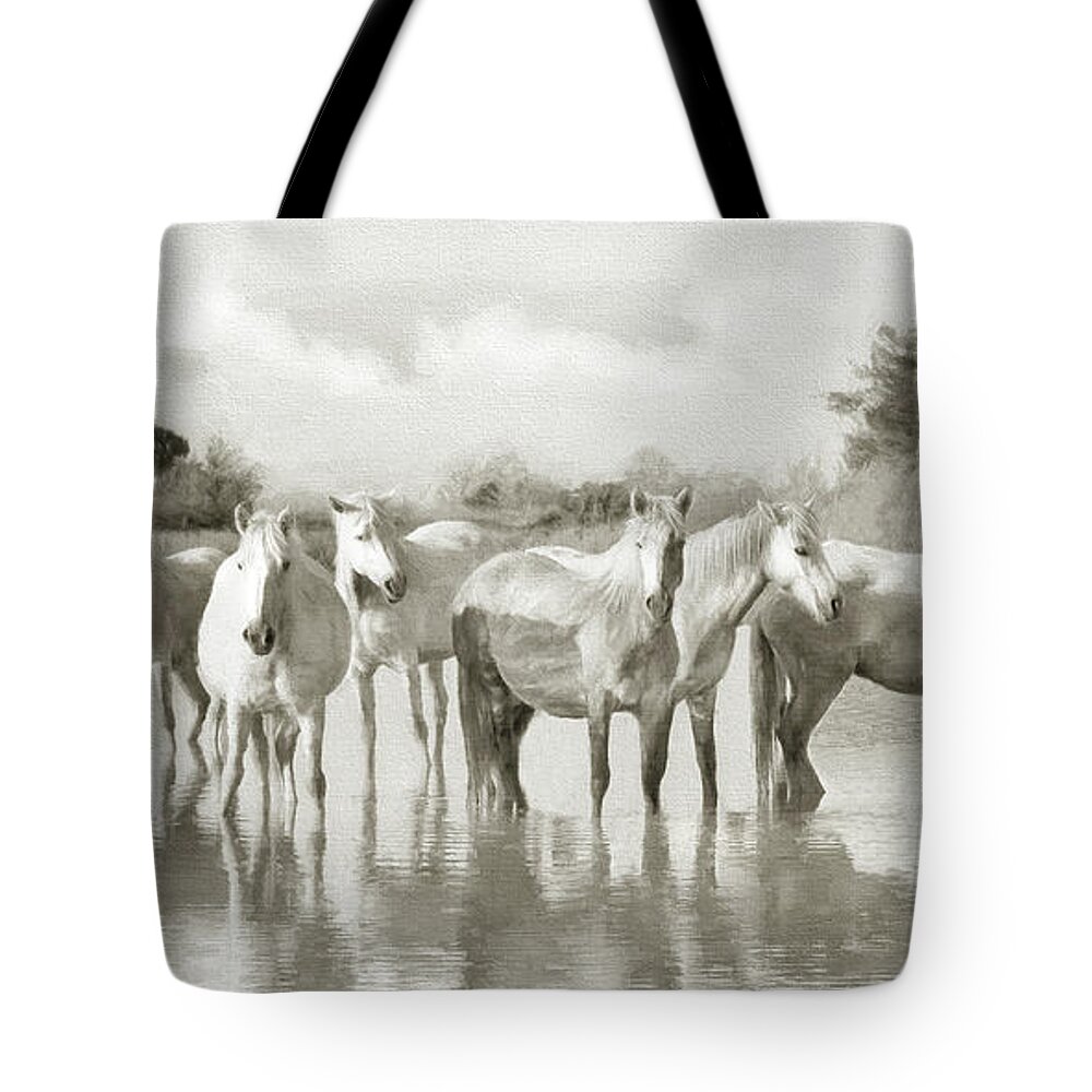 Horse Tote Bag featuring the photograph Wild Horses Resting by Karen Lynch