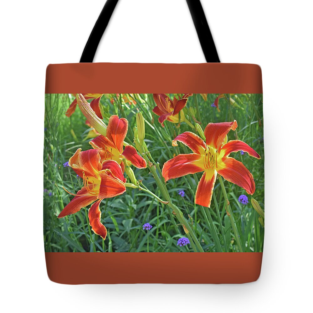 Daylilies Tote Bag featuring the photograph Hot July Field of Daylilies by Janis Senungetuk
