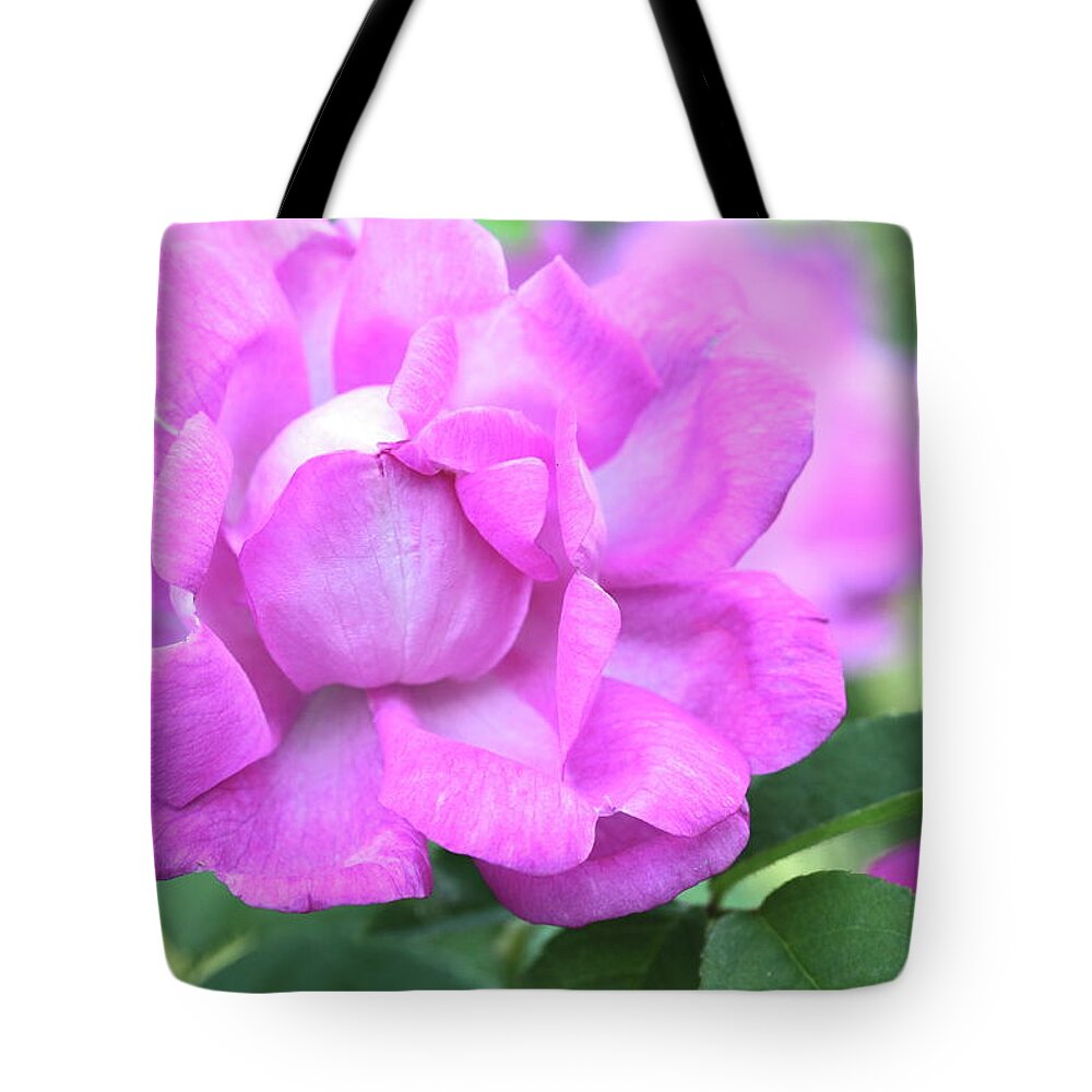Pink Tote Bag featuring the photograph Hot Pink by Ree Reid
