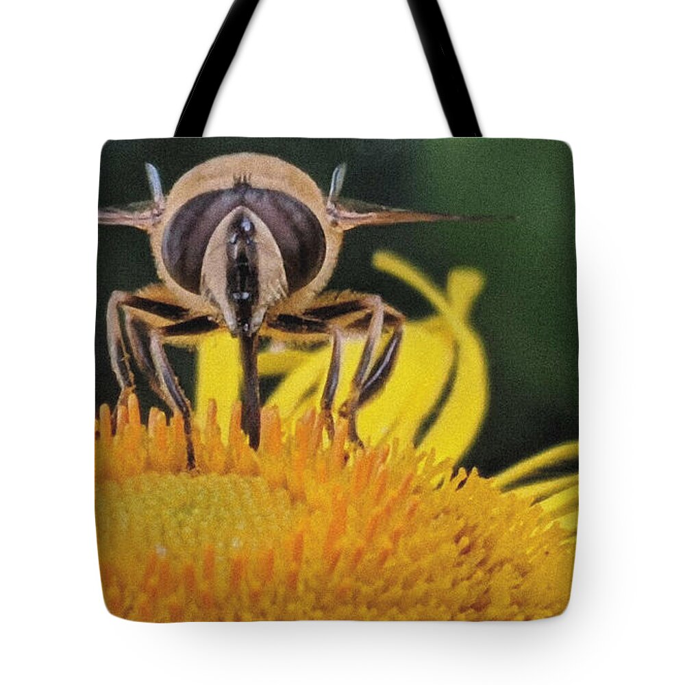 Hoverfly Tote Bag featuring the mixed media Hoverfly by Charlie Ross