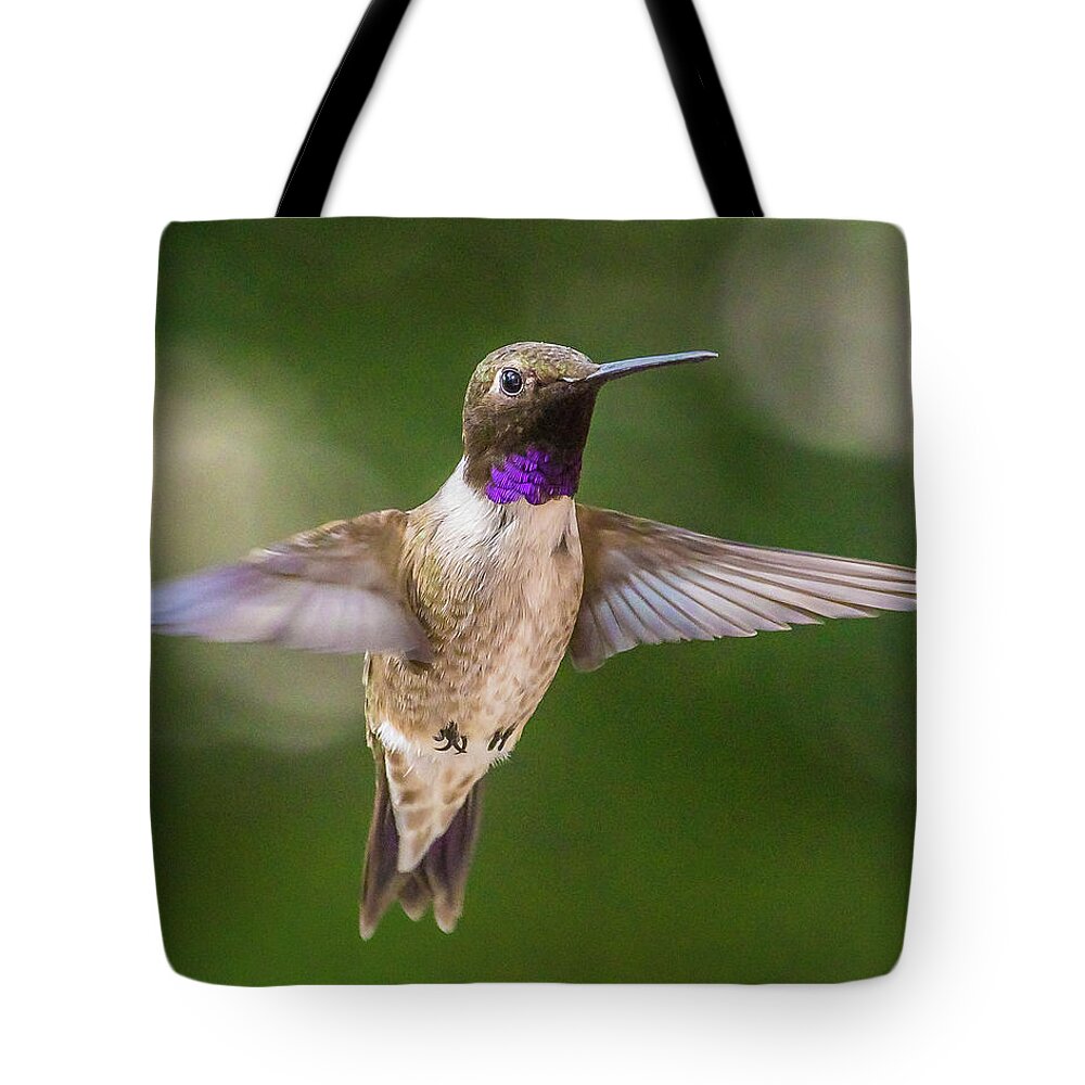 Hummingbird Tote Bag featuring the photograph Hovering Hummingbird by Mark Mille
