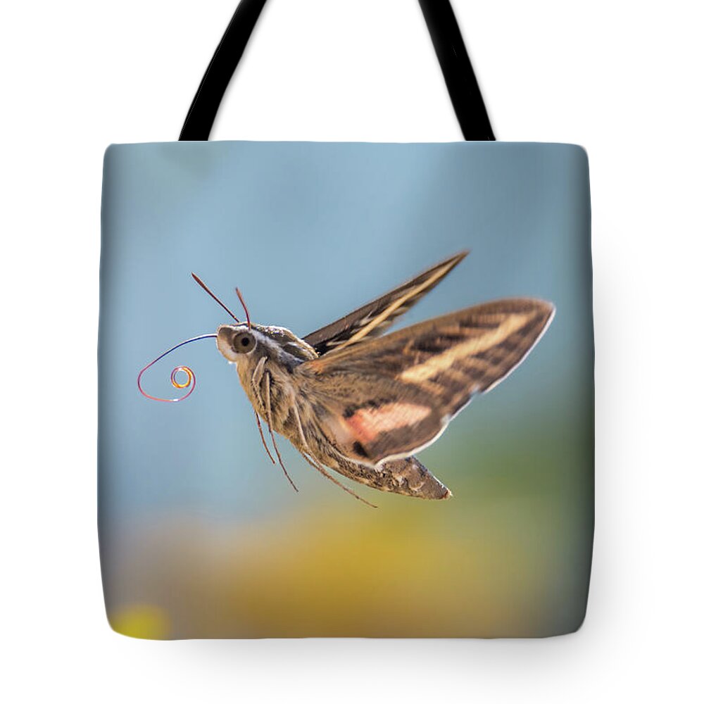 Hyles Lineata Tote Bag featuring the photograph Hovering Hummingbird Moth by Debra Martz