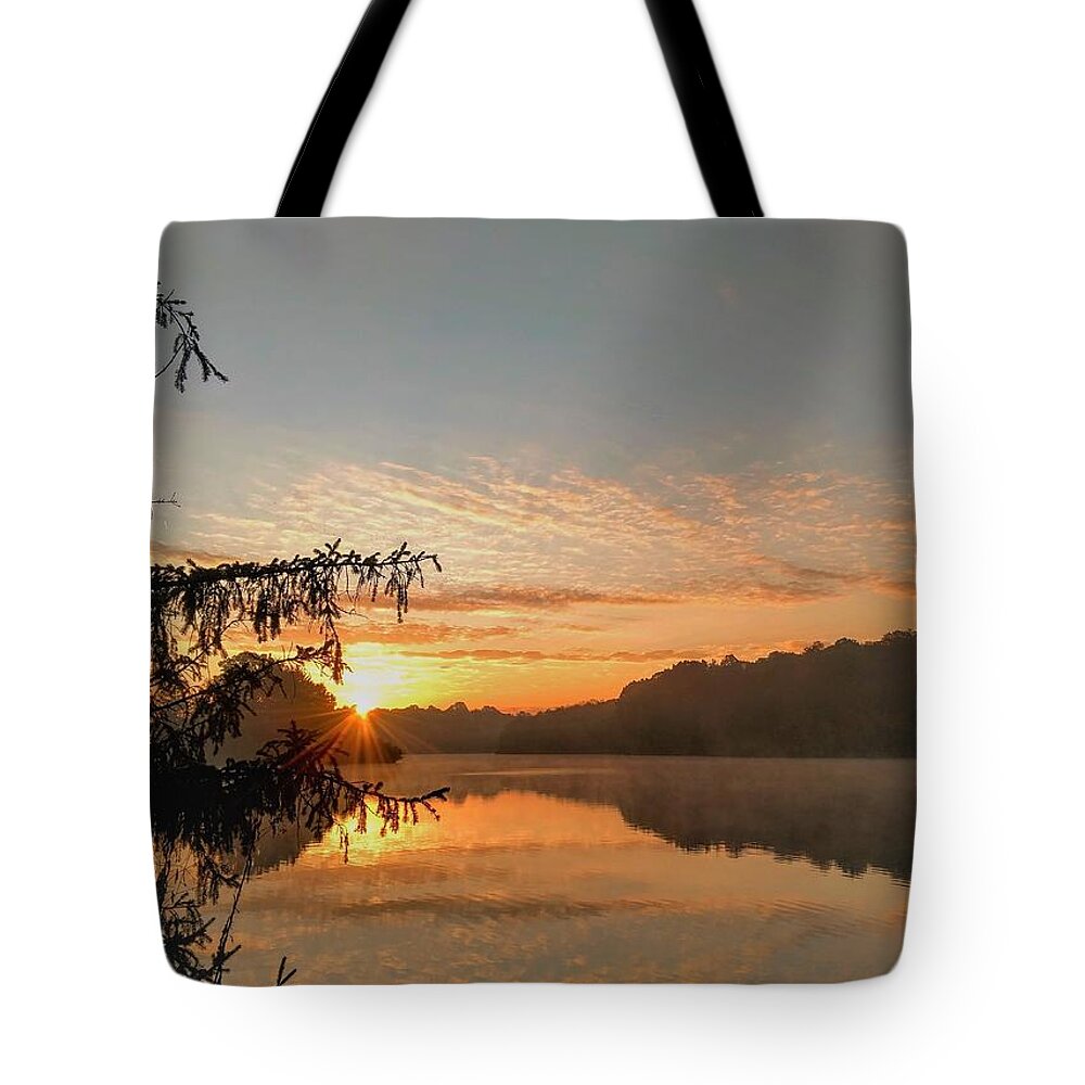  Tote Bag featuring the photograph Hudson Springs Park Sunrise by Brad Nellis