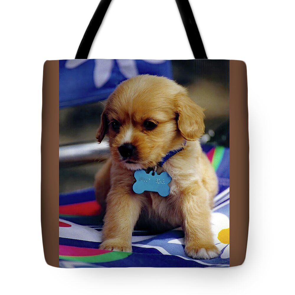 Puppy Tote Bag featuring the photograph Huggy Bear by Jennifer Robin