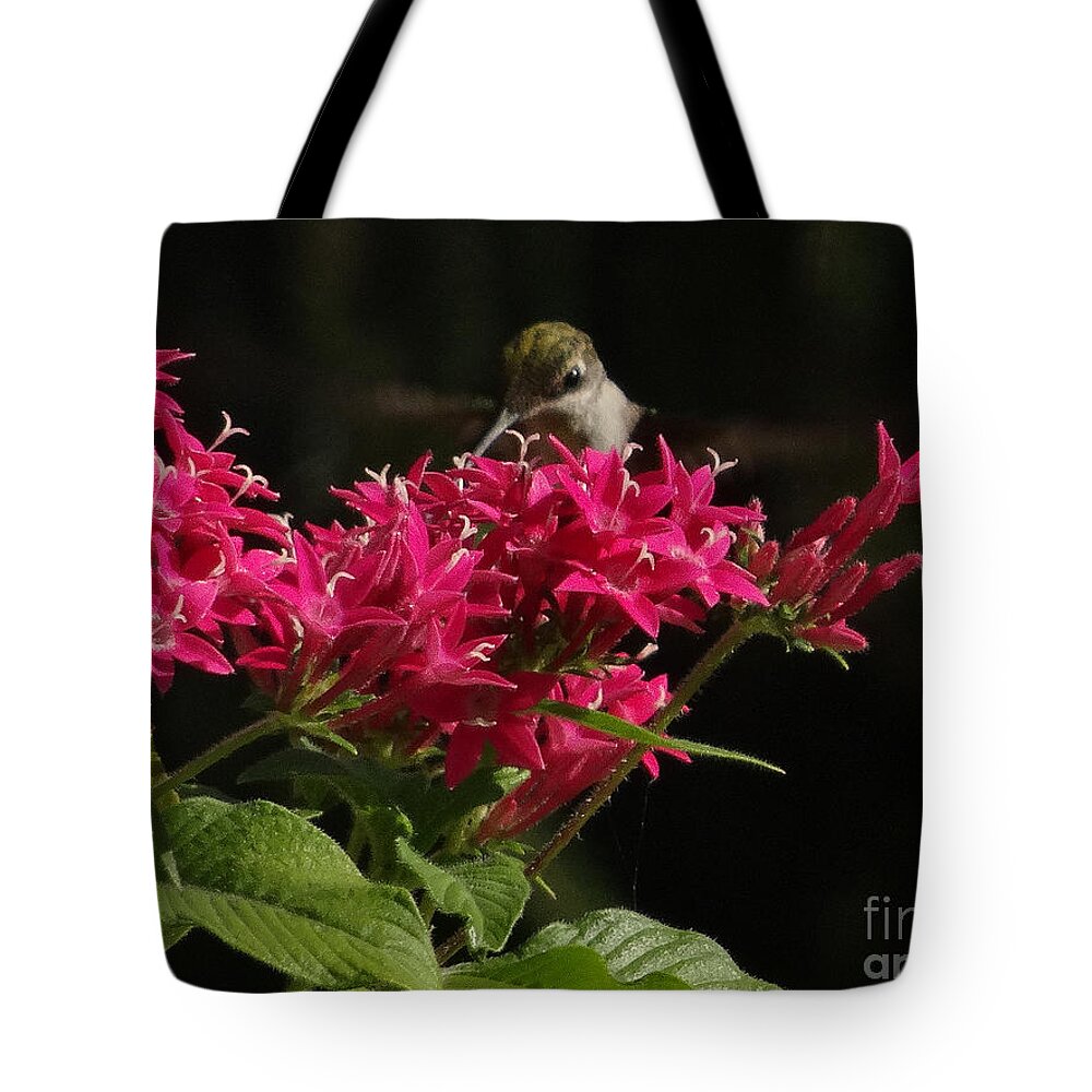 5 Star Tote Bag featuring the photograph Hummers on Deck- 2-03 by Christopher Plummer