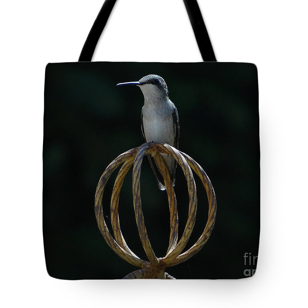 5 Star Tote Bag featuring the photograph Hummers on Deck- 2-05 by Christopher Plummer