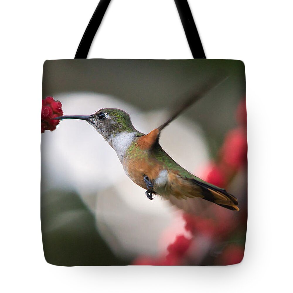 Hummingbird Tote Bag featuring the photograph Humming Bird taking a sip of nectar by Montez Kerr