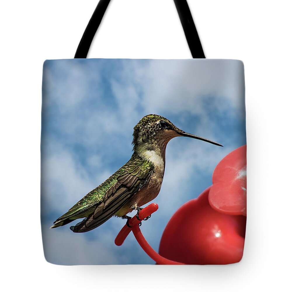 Hummingbird Feeder Tote Bags