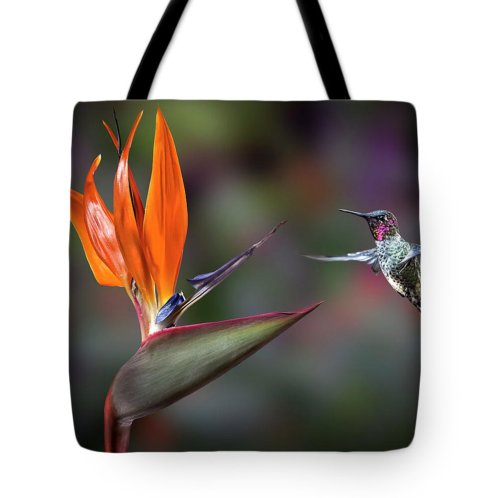 Hummingbird Tote Bag featuring the photograph Hummingbird and Bird Of Paradise by Endre Balogh