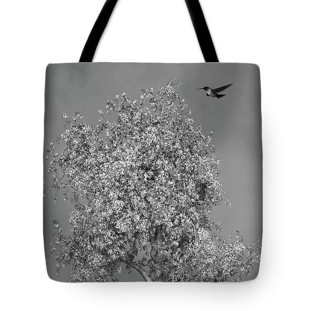 Hummingbird Tote Bag featuring the mixed media Hummingbird At The Flowering Tree Black and White by David Dehner