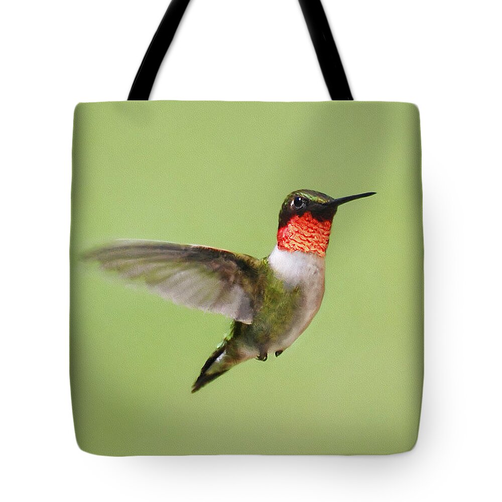 Hummingbird Tote Bag featuring the painting Hummingbird Defender by Christina Rollo