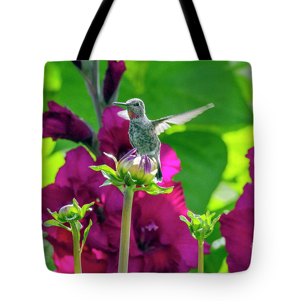 Garden Tote Bag featuring the photograph Hummingbird Garden by Kristine Anderson