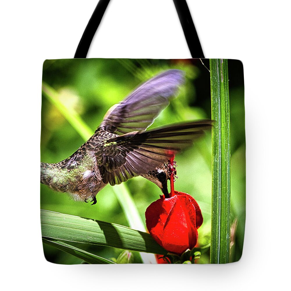Bird Tote Bag featuring the photograph Hummingbird In Flight by Rene Vasquez