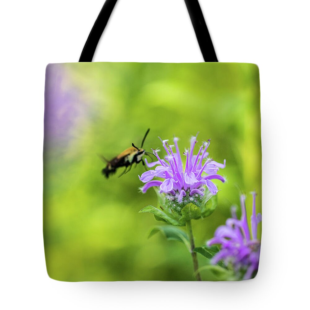 Plants Tote Bag featuring the photograph Hummingbird Moth - Delaware Water Gap by Amelia Pearn