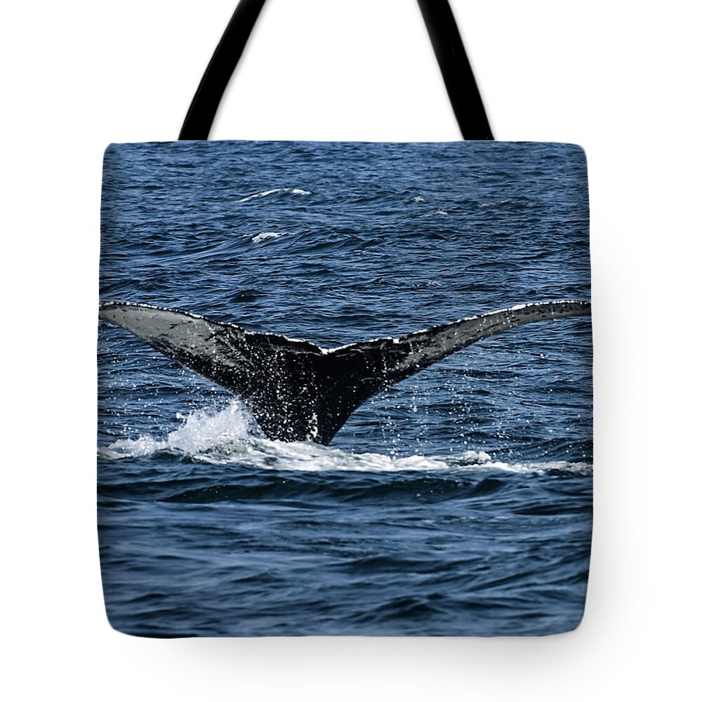 Whale Tote Bag featuring the photograph Humpback Fluke - Monterrey Bay by Amazing Action Photo Video